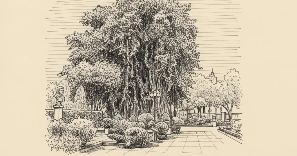 Bach Tung Diep Park, District 1