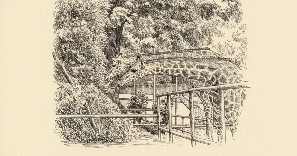 Saigon Zoo and Botanical Garden, District 1
